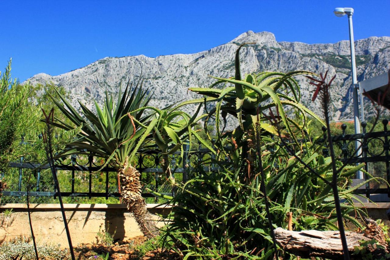 Apartments With A Parking Space Orebic, Peljesac - 10157 ภายนอก รูปภาพ